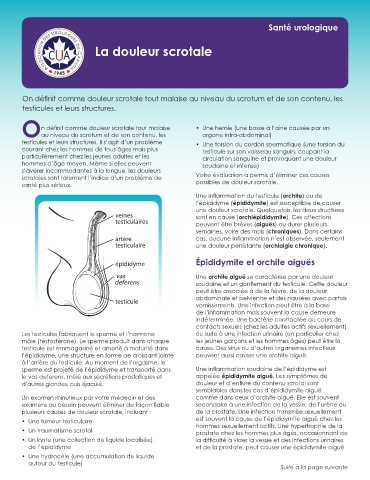 Page 1 - La douleur scrotale