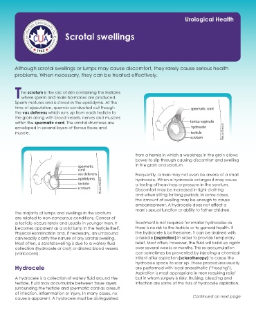 Scrotal swelling